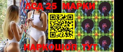 мдпв Нальчик