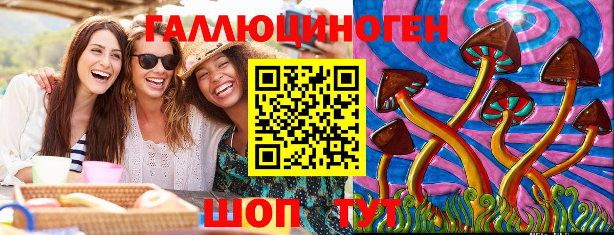 Галлюциногенные грибы Cubensis Сегежа