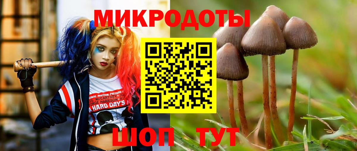 Сегежа  Галлюциногенные грибы Psilocybe  Вход с VPN  где купить наркоту  Галлюциногенные грибы Cubensis 